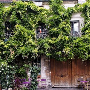 Débit de boisson, Rue Chanoinesse - Paris 4ème