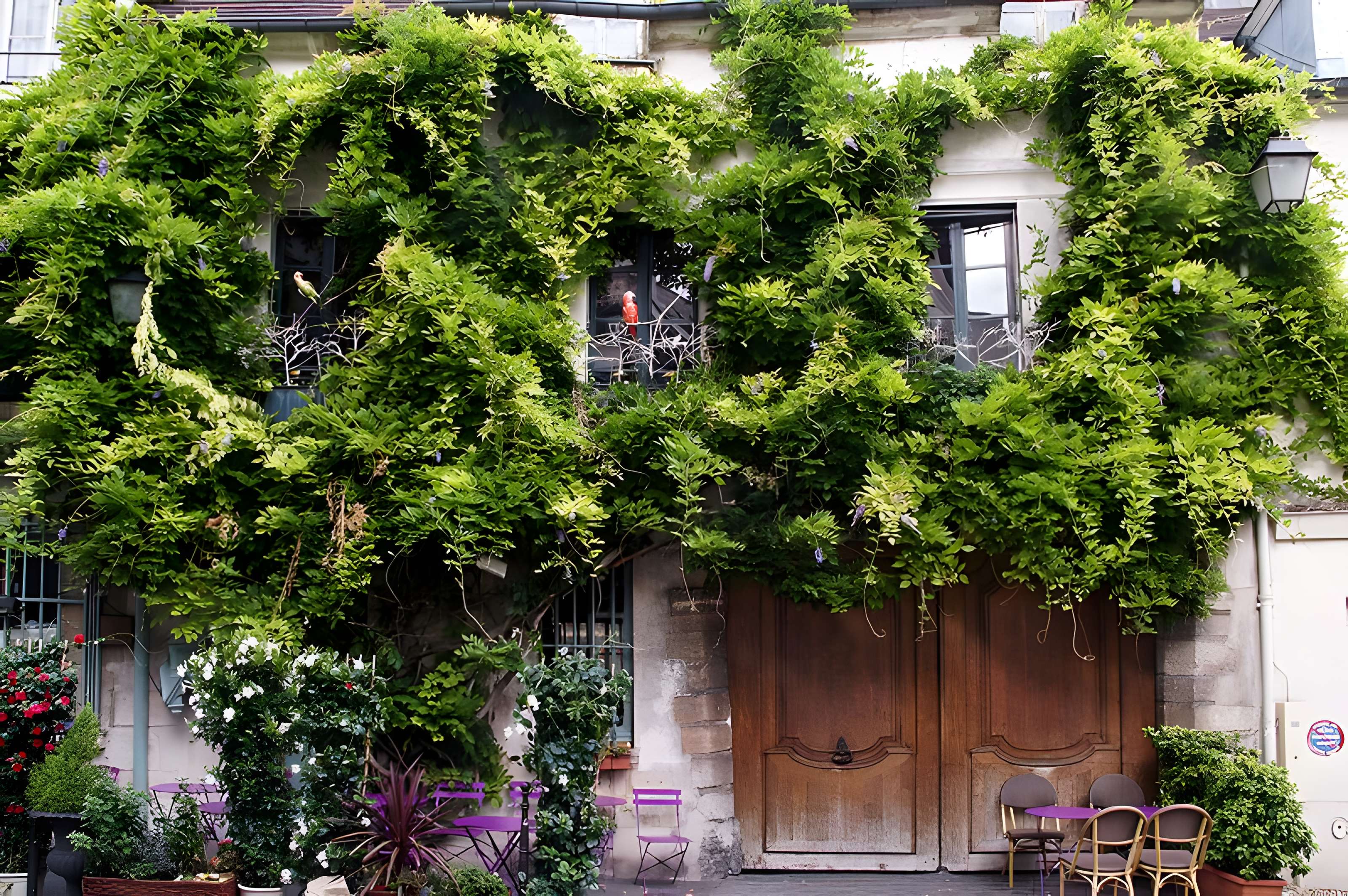 Débit de boisson, Rue Chanoinesse - Paris 4ème