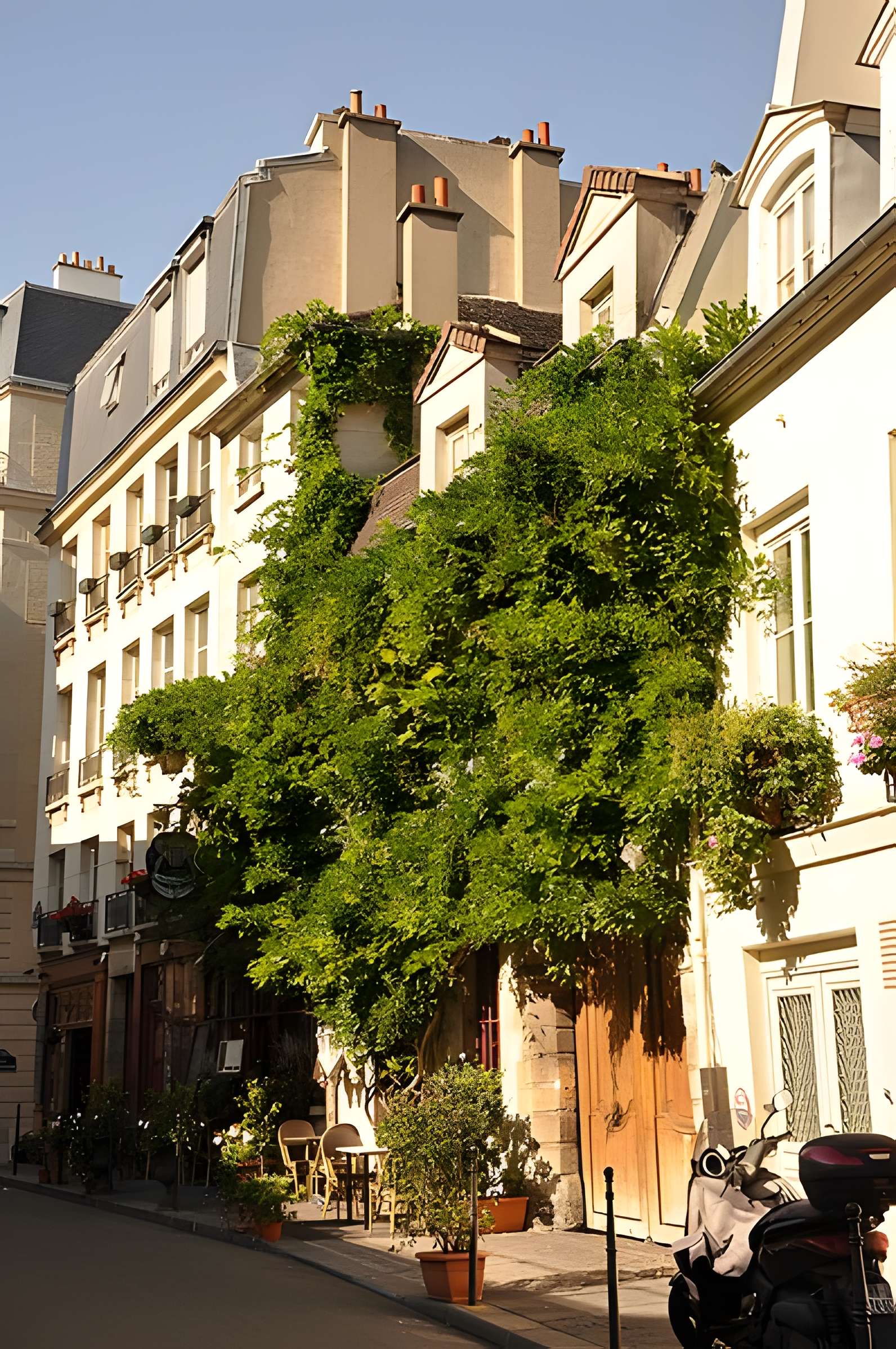 Débit de boisson, Rue Chanoinesse - Paris 4ème