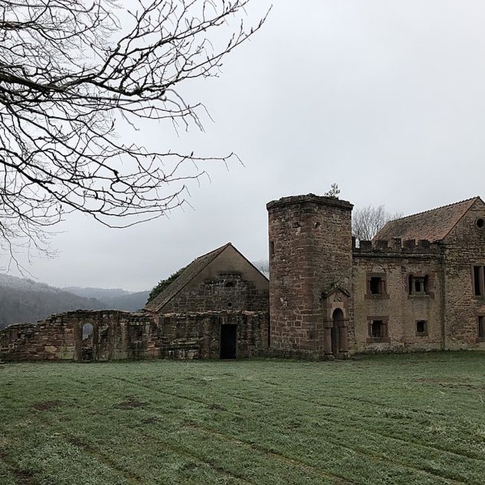 Photo de Château de Lutzelbourg