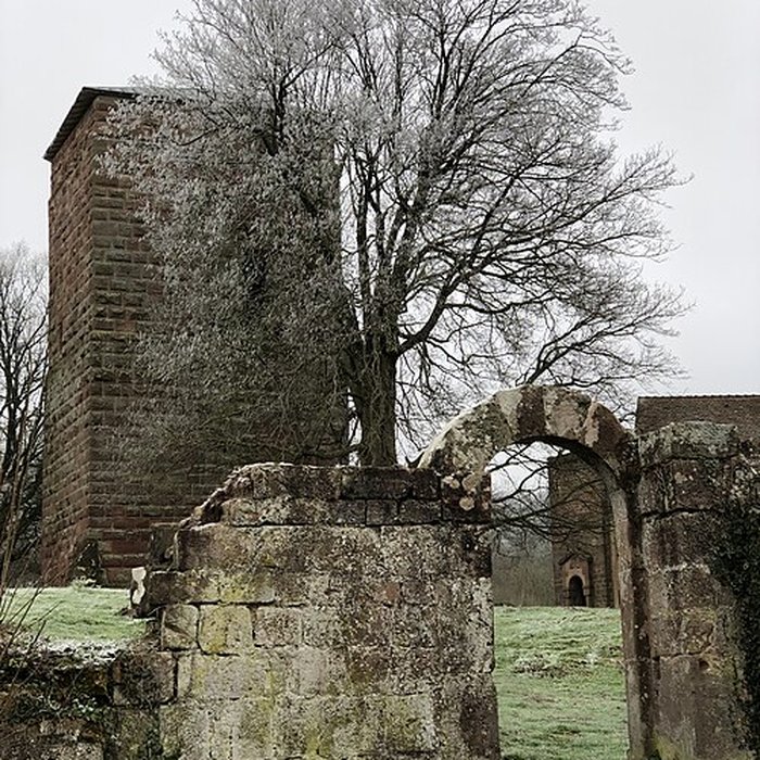 Photo de Château de Lutzelbourg
