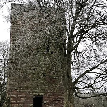 Château de Lutzelbourg