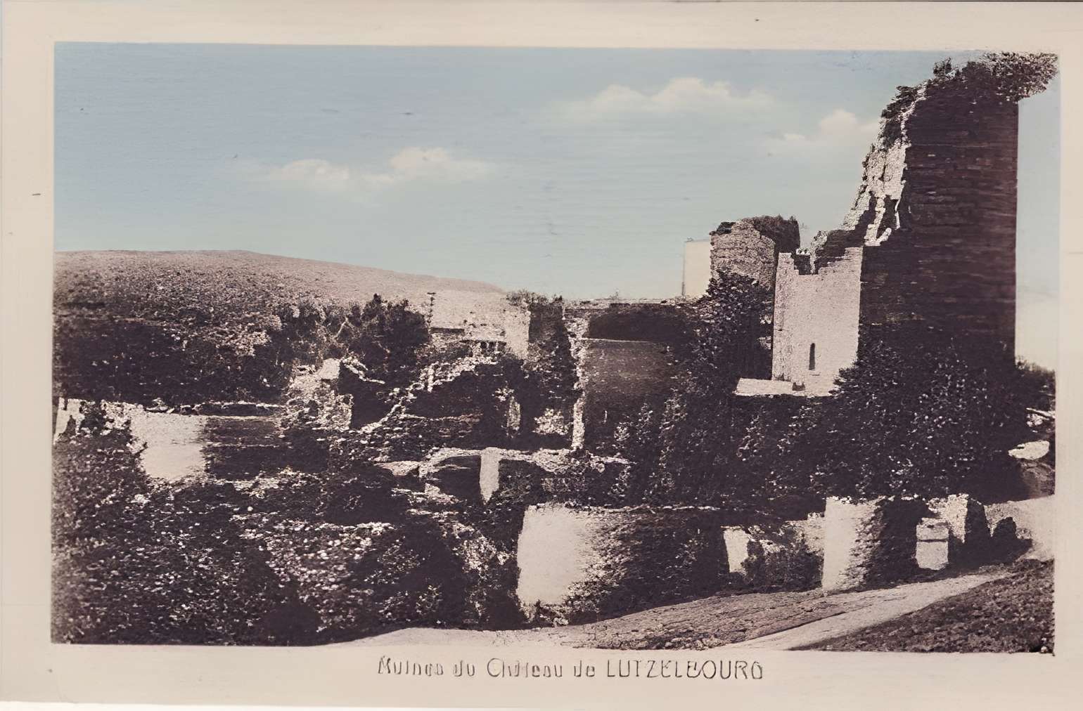 Château de Lutzelbourg