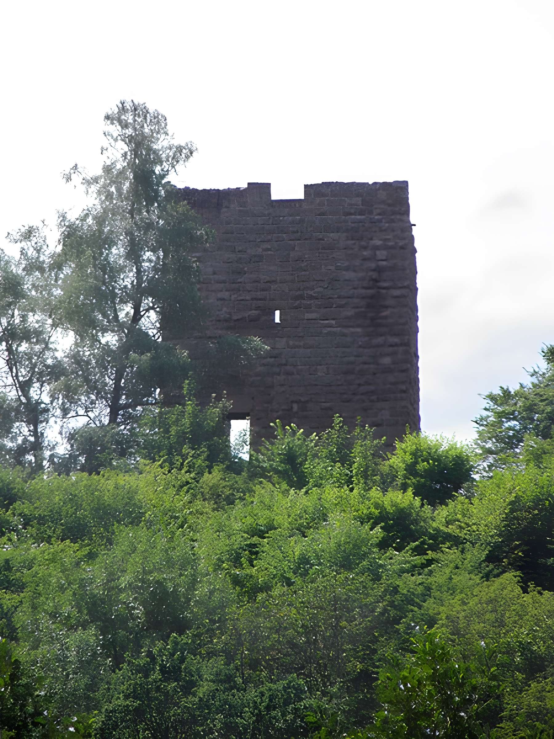 Château de Lutzelbourg