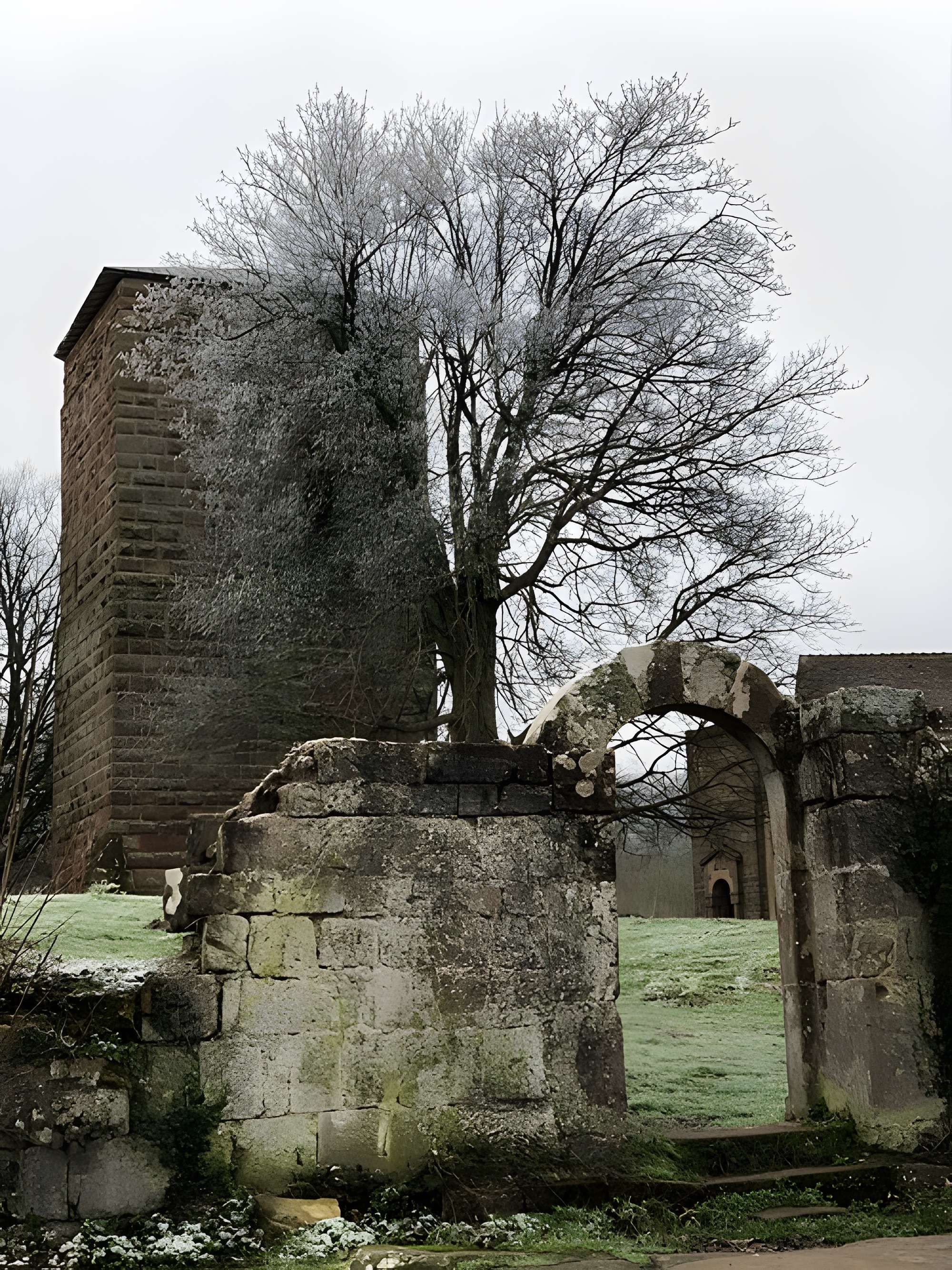 Château de Lutzelbourg