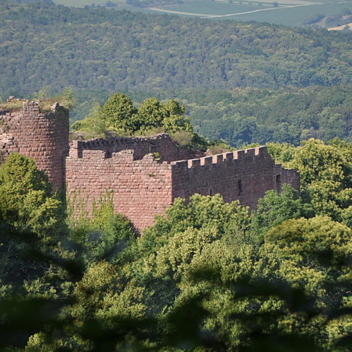 Photo de Château de Lutzelbourg à Ottrott