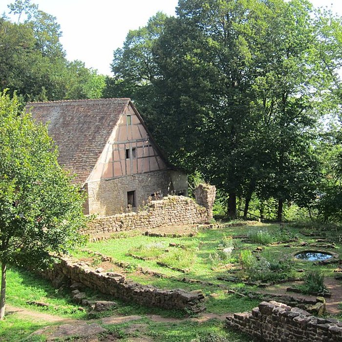 Photo de Château de Lutzelbourg à Ottrott