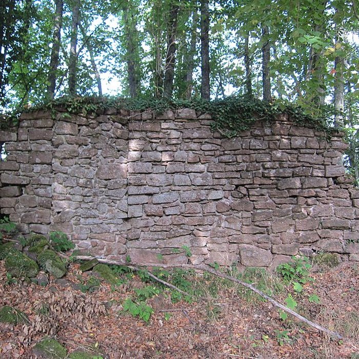 Photo de Château de Lutzelbourg à Ottrott