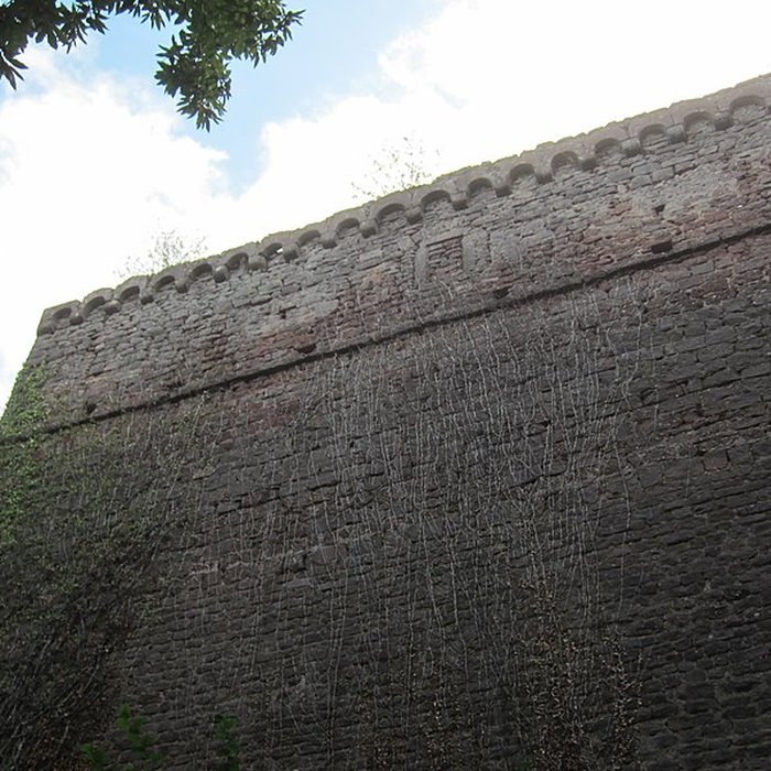 Photo de Château de Lutzelbourg à Ottrott