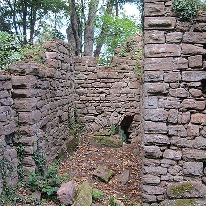Photo de Château de Lutzelbourg à Ottrott