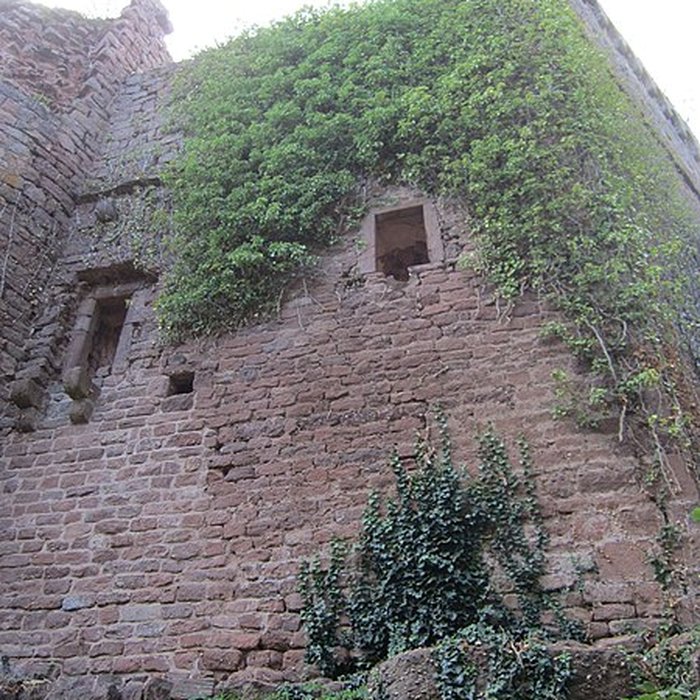 Photo de Château de Lutzelbourg à Ottrott