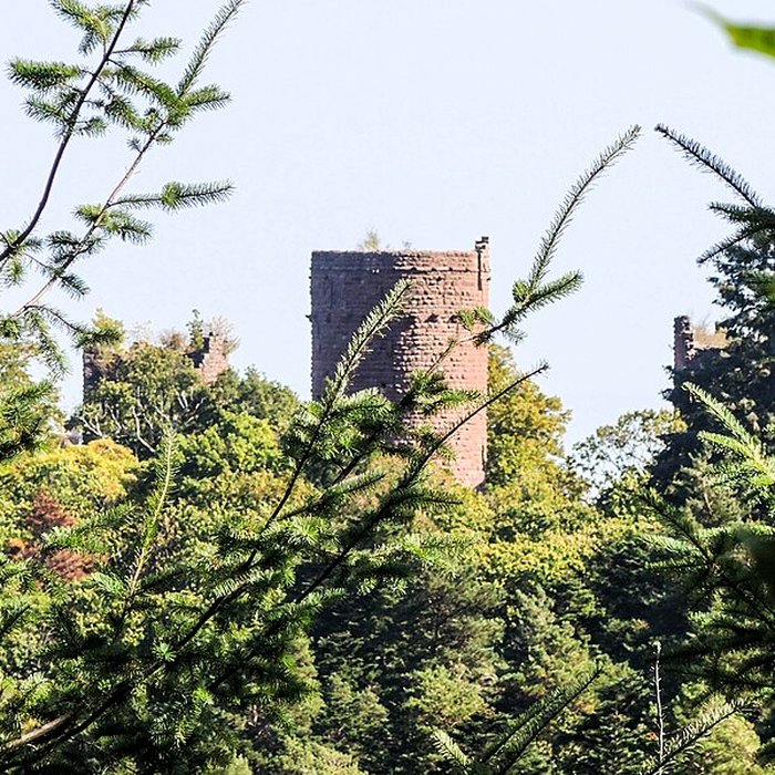 Photo de Château de Lutzelbourg à Ottrott