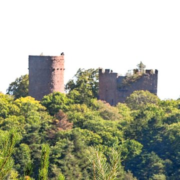 Château de Lutzelbourg à Ottrott