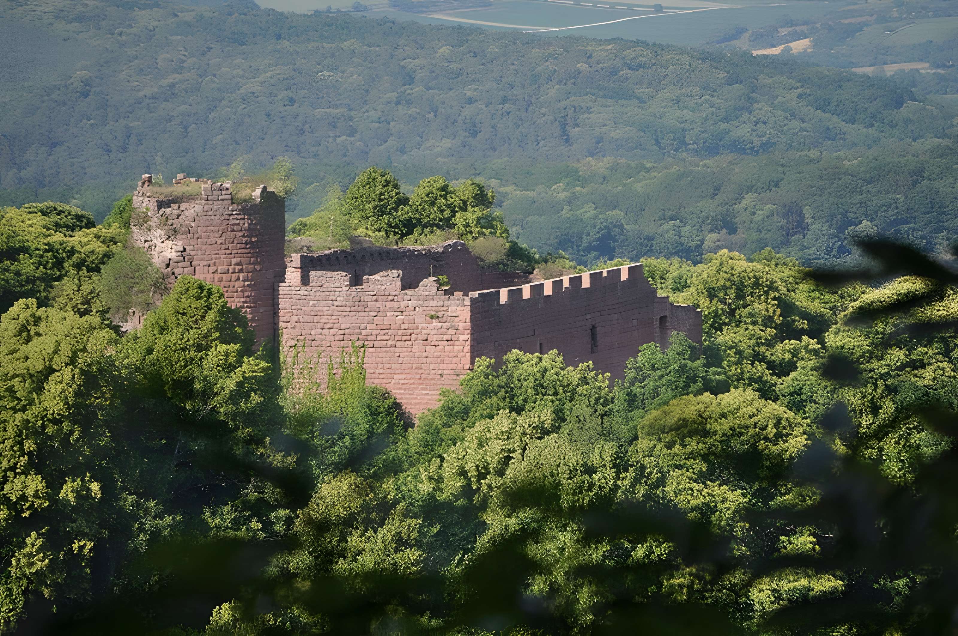 Château de Lutzelbourg à Ottrott 
