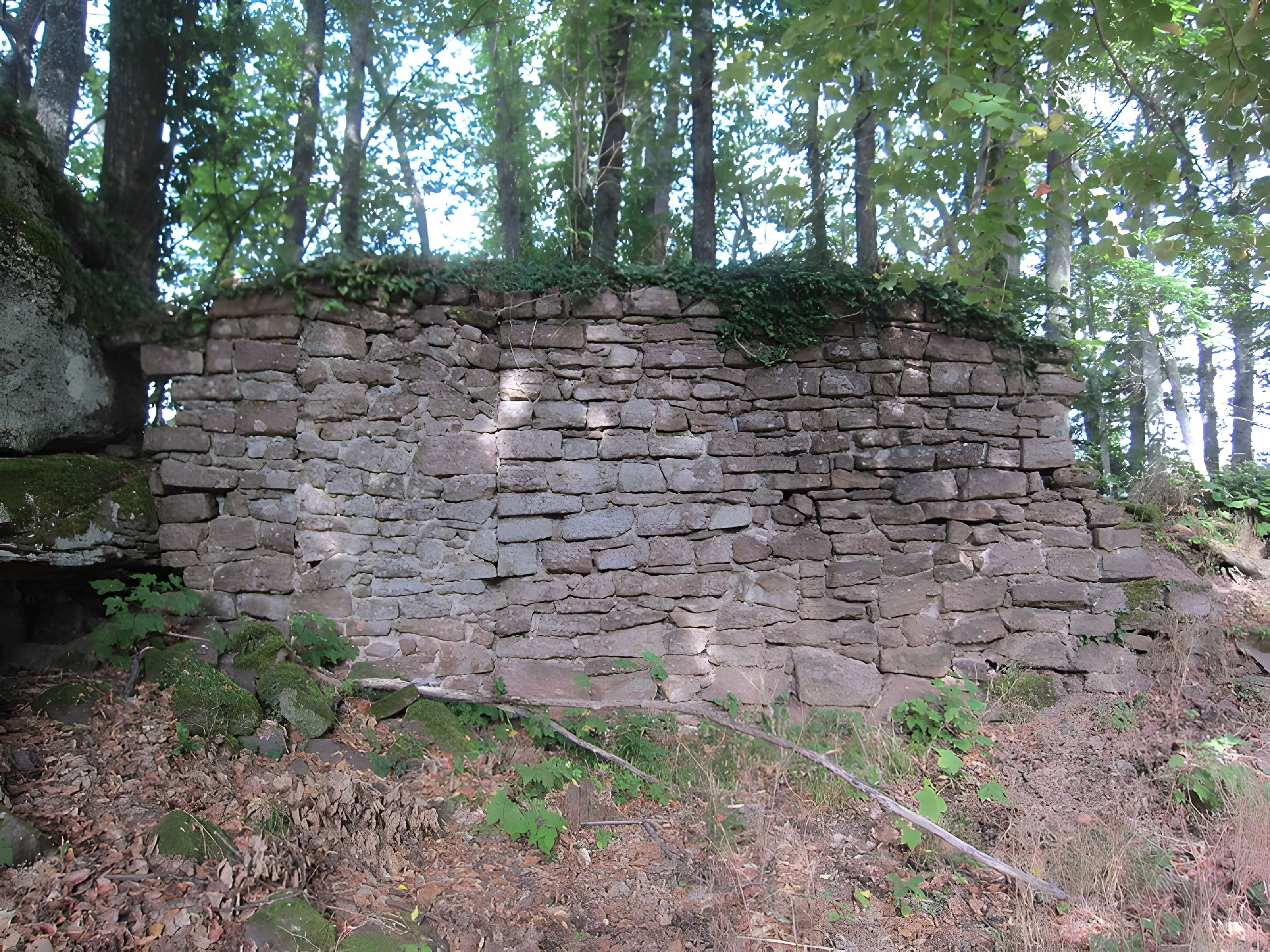 Château de Lutzelbourg à Ottrott