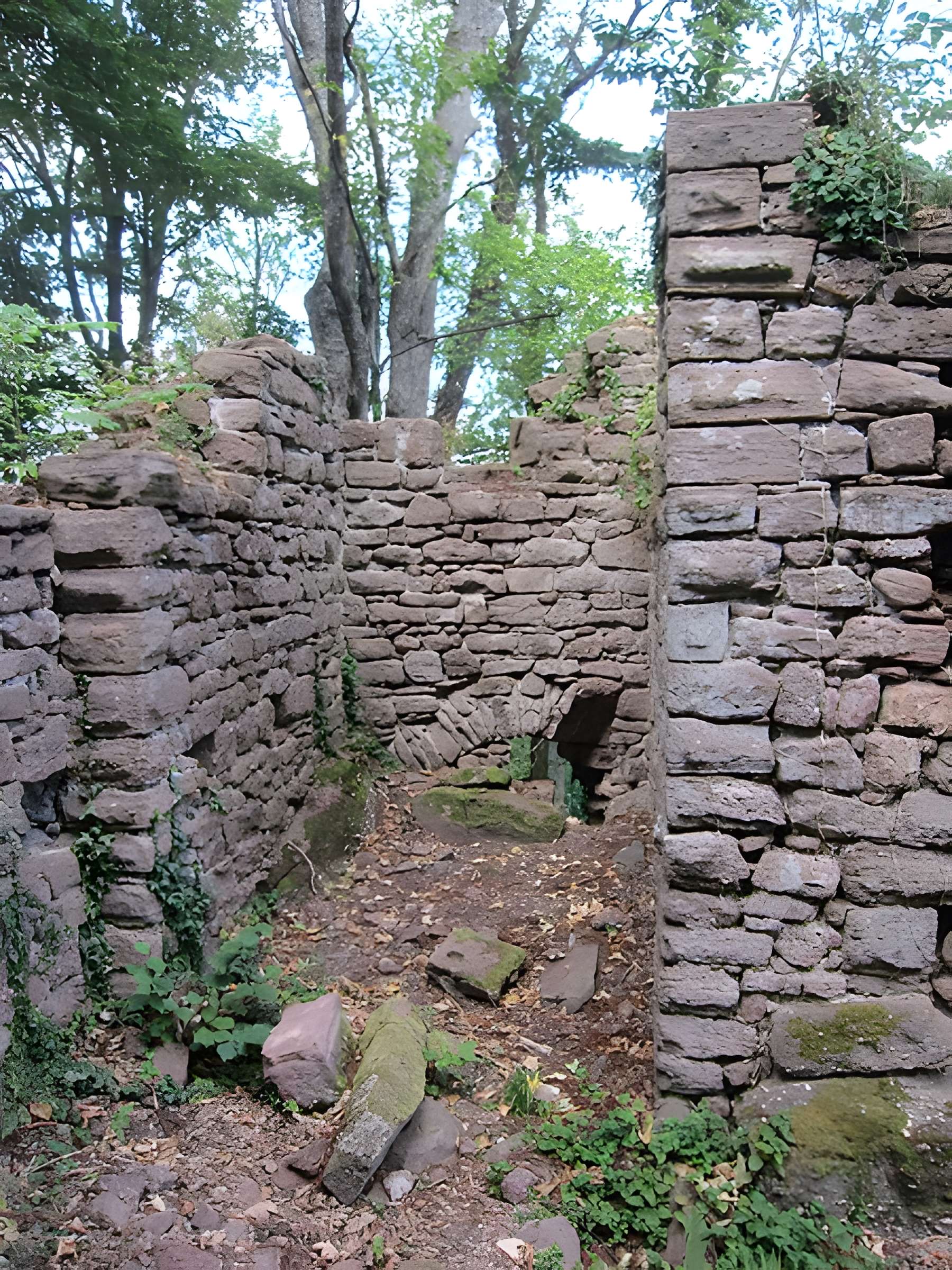 Château de Lutzelbourg à Ottrott