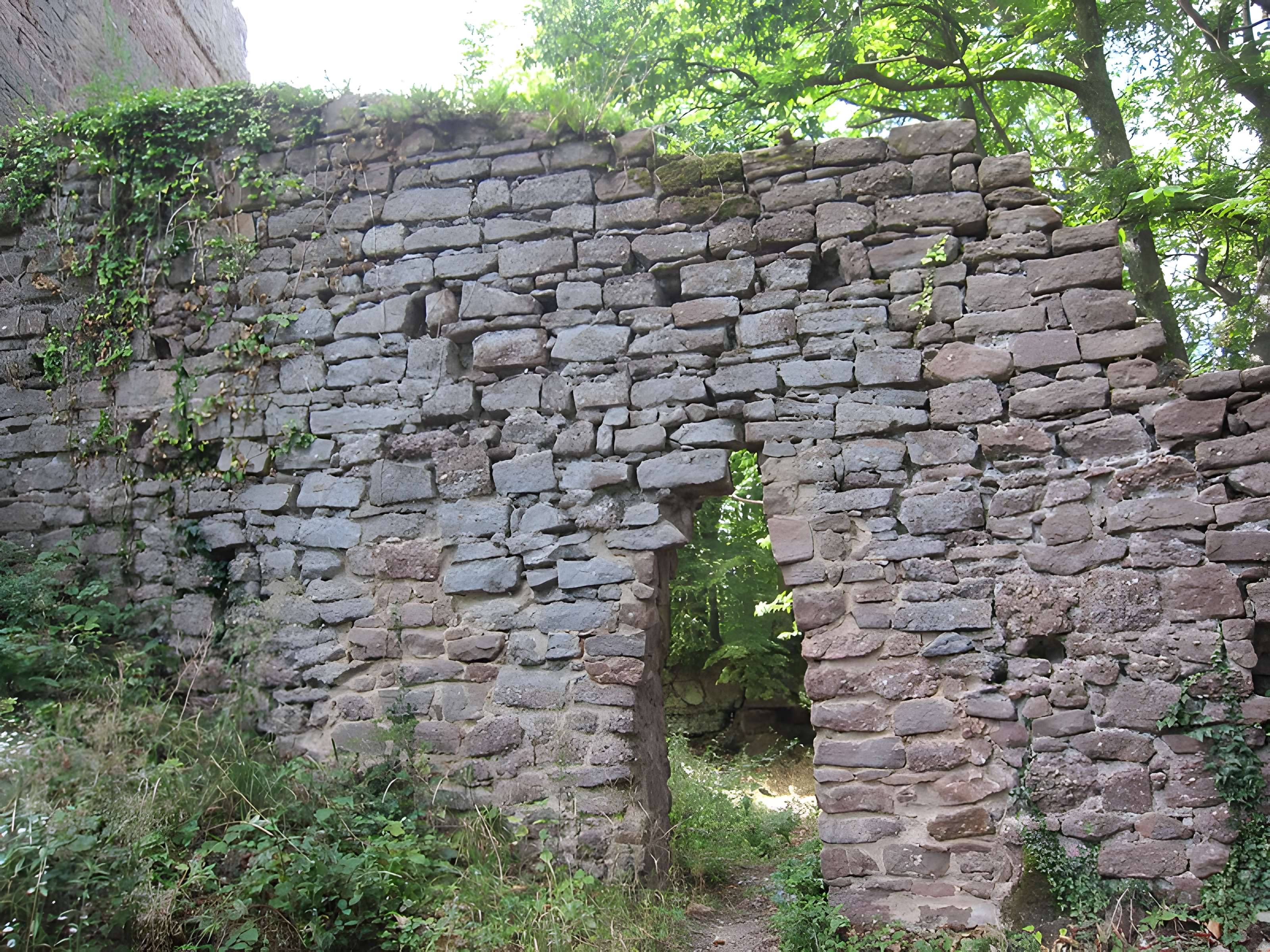 Château de Lutzelbourg à Ottrott