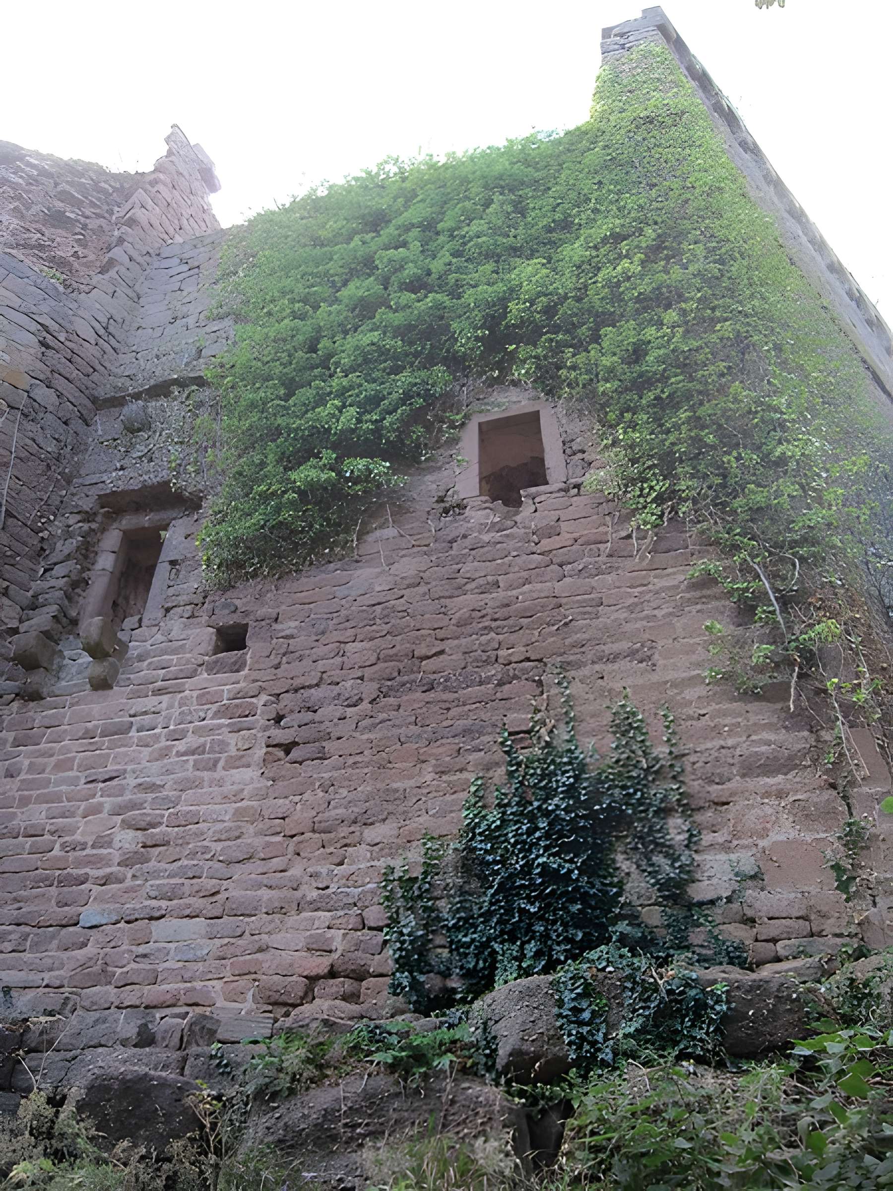 Château de Lutzelbourg à Ottrott