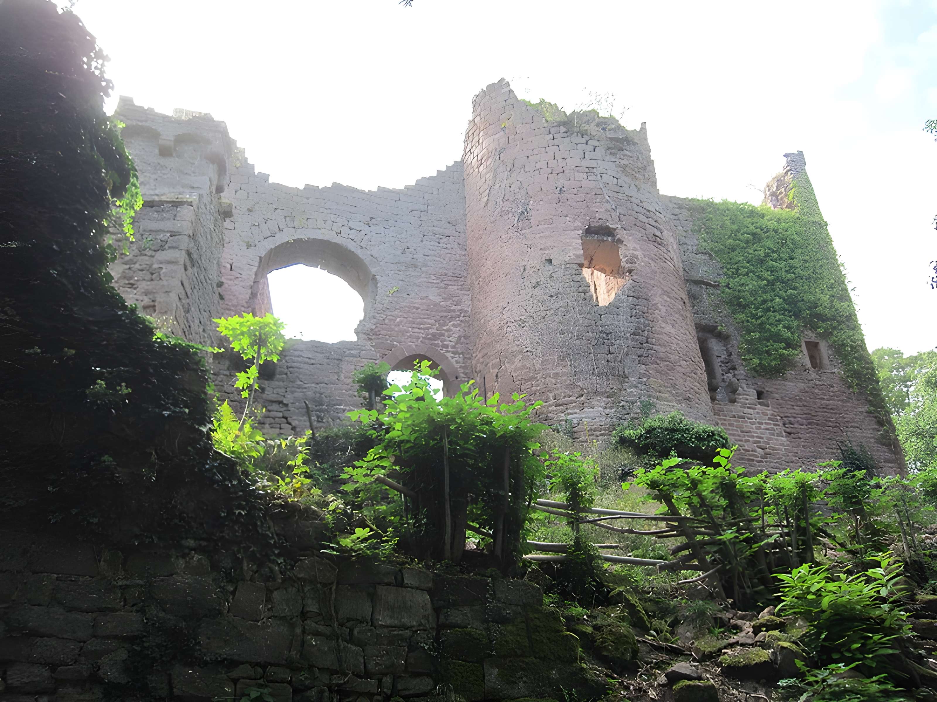 Château de Lutzelbourg à Ottrott