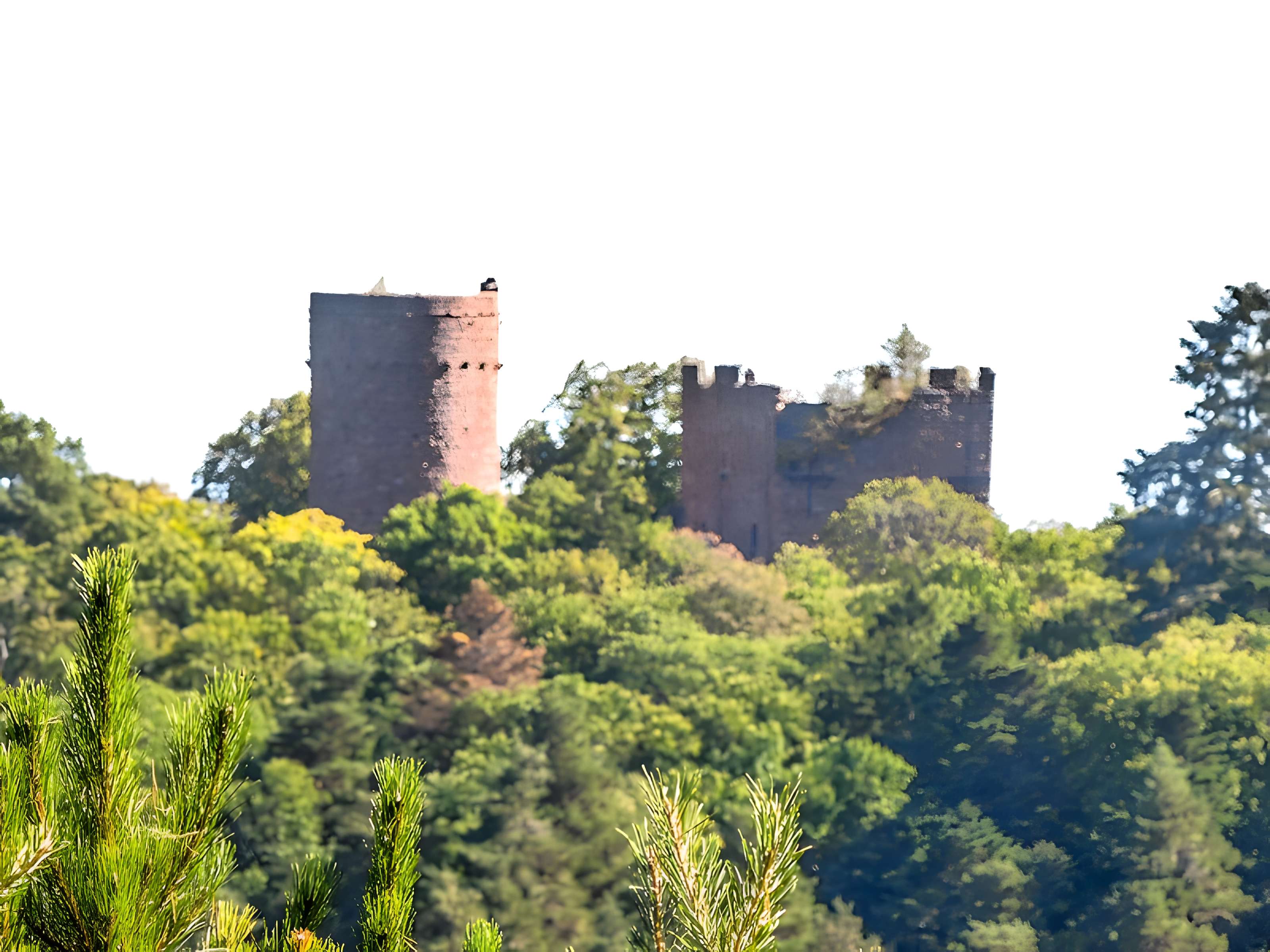 Château de Lutzelbourg à Ottrott