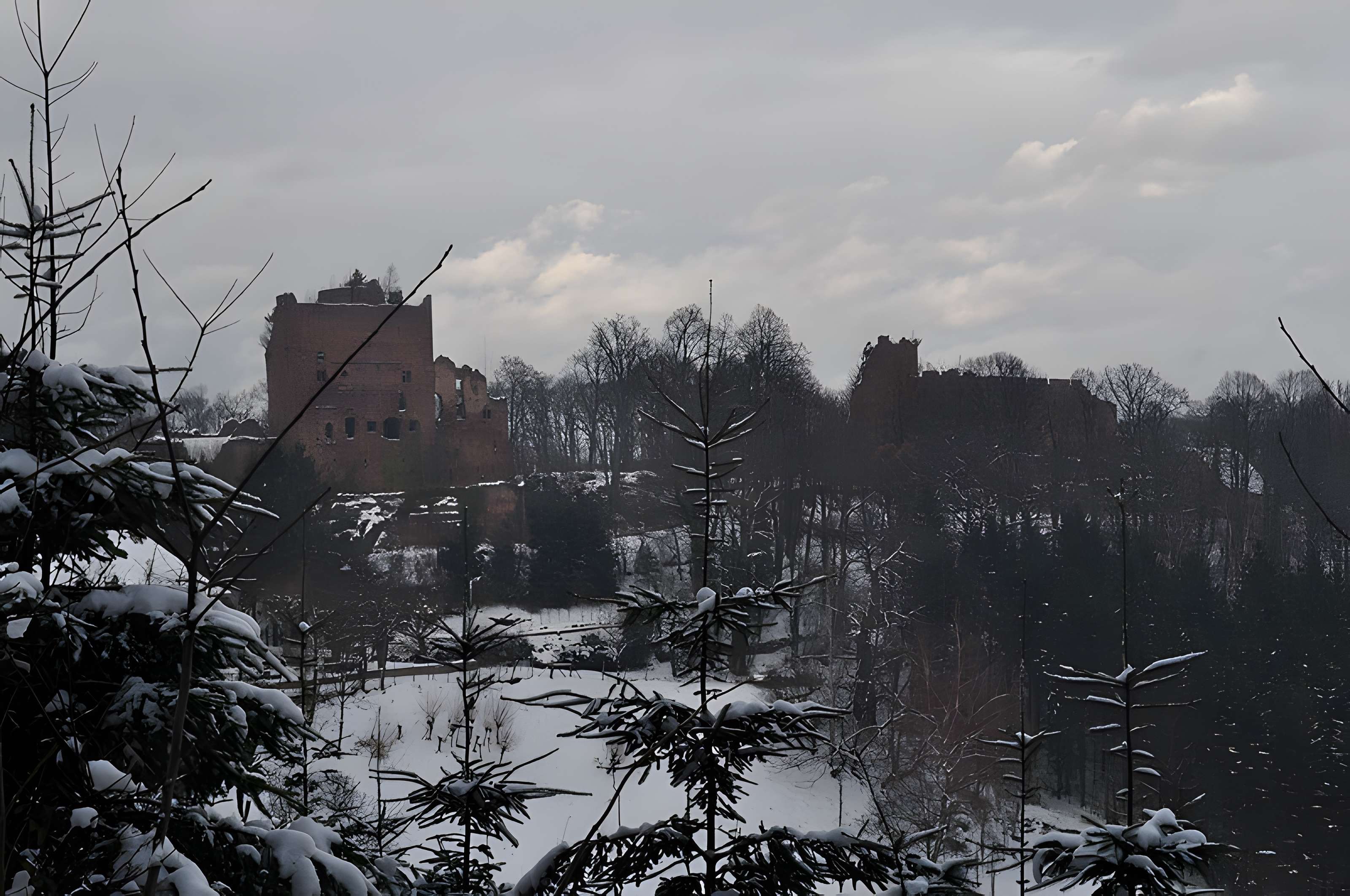 Château de Lutzelbourg à Ottrott