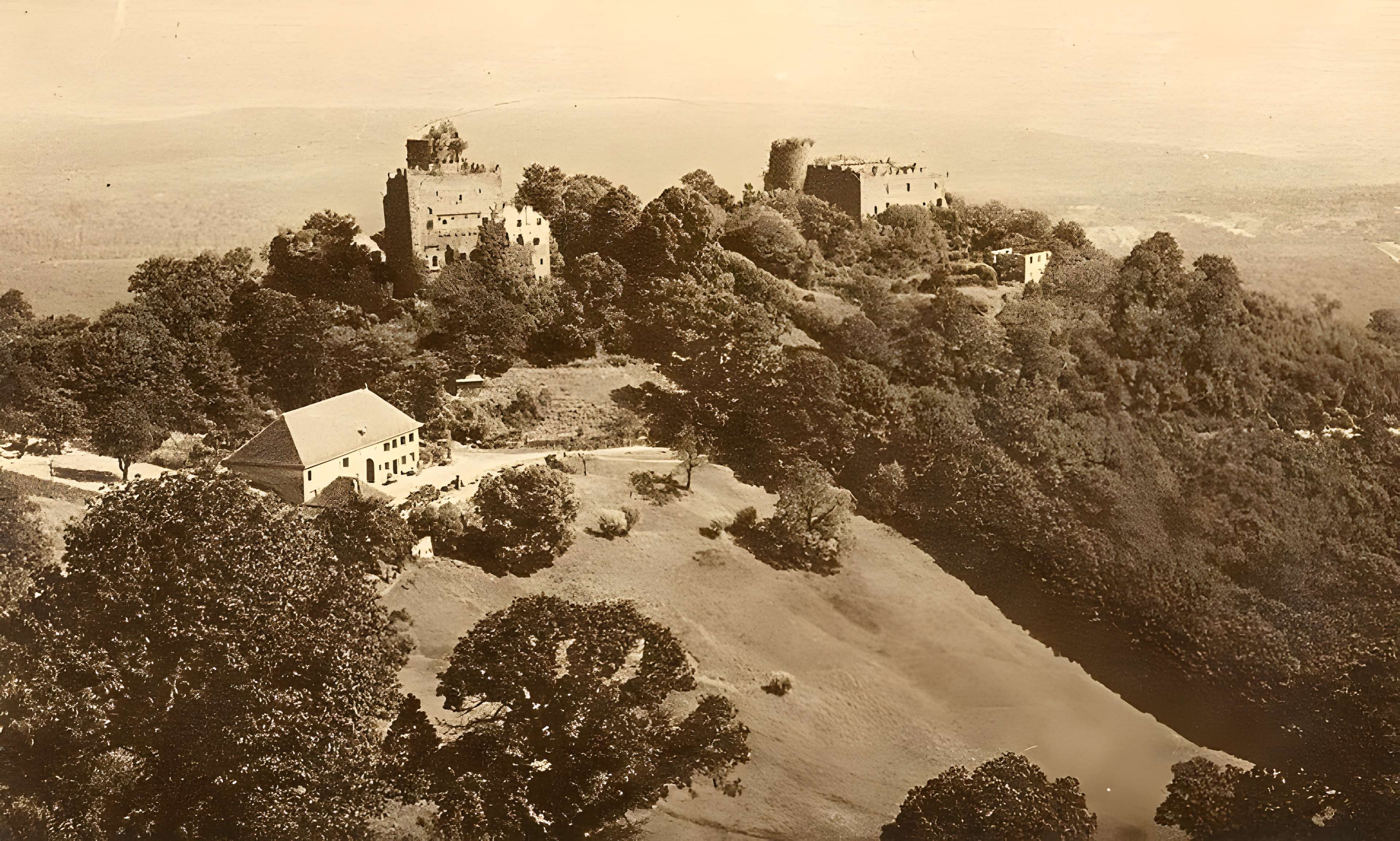 Château de Lutzelbourg à Ottrott