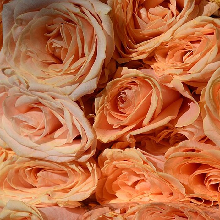 Photo de Marché Beauvau - Paris 12ème