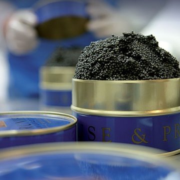 Restaurant Prunier - Paris 16ème