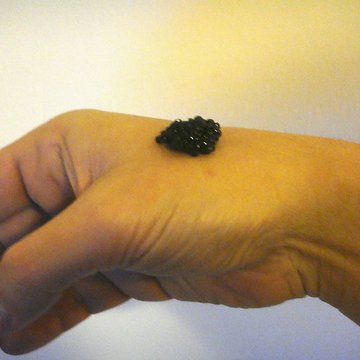 Restaurant Prunier - Paris 16ème