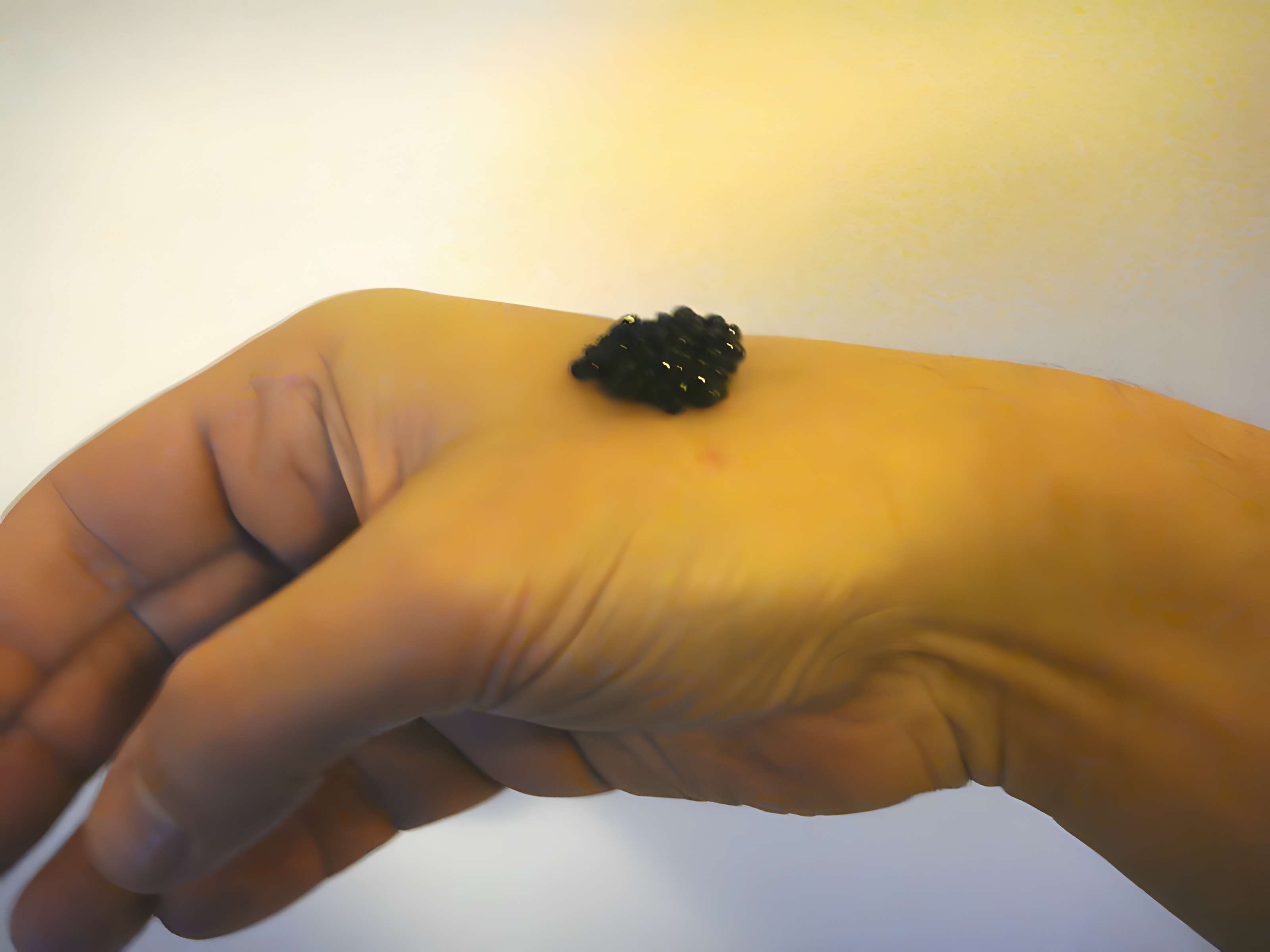 Restaurant Prunier - Paris 16ème