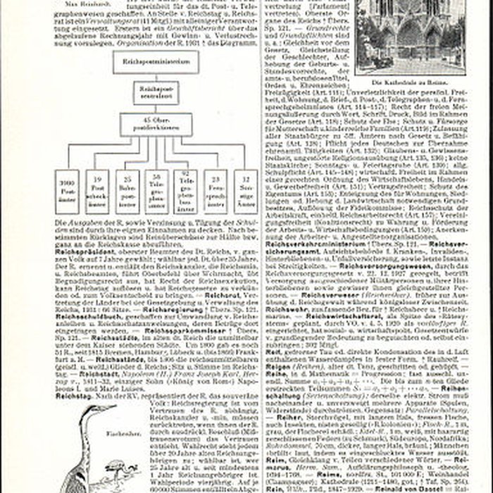 Photo de Cathédrale Notre-Dame de Reims