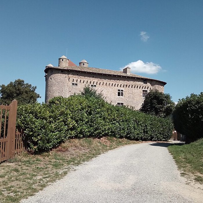 Photo de Château de Maisonseule