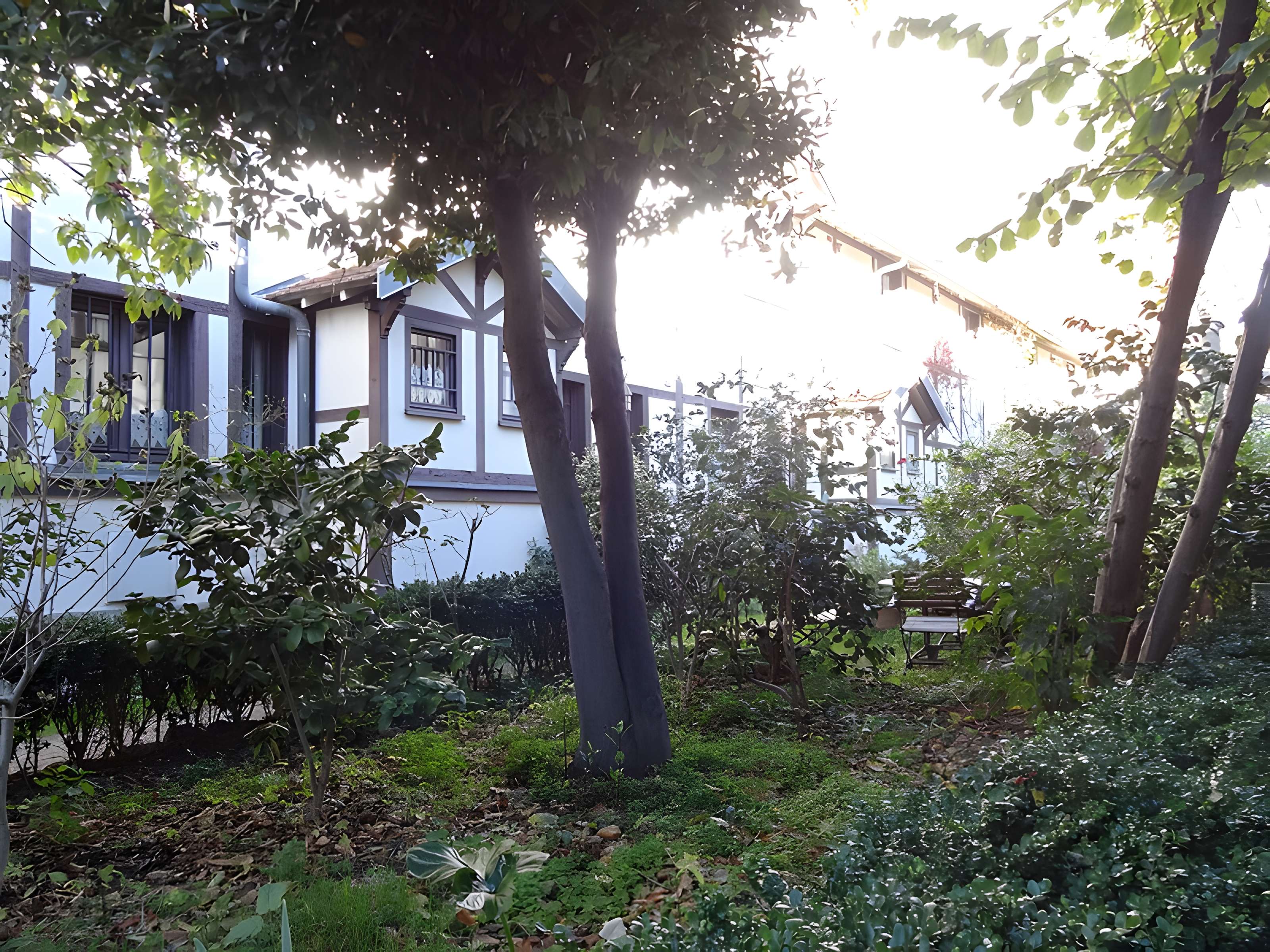 Cité fleurie à Paris