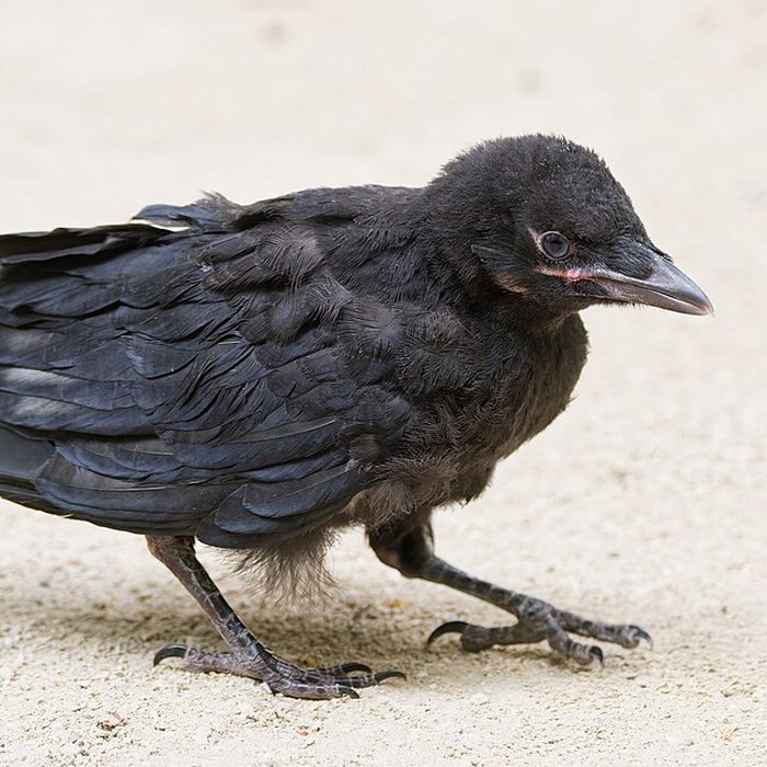 Photo de École normale supérieure à Paris