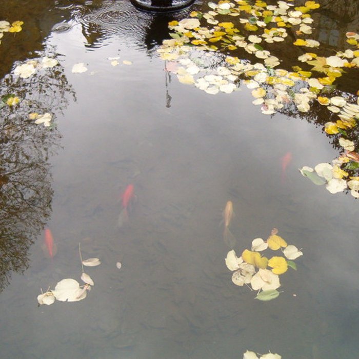 Photo de École normale supérieure à Paris