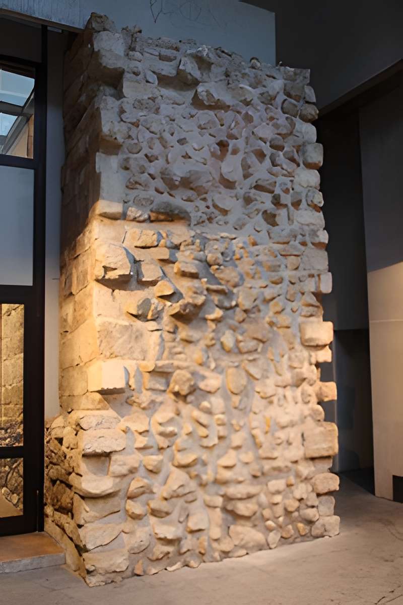 Ecole polytechnique  (Voir aussi : Enceinte de Philippe-Auguste)