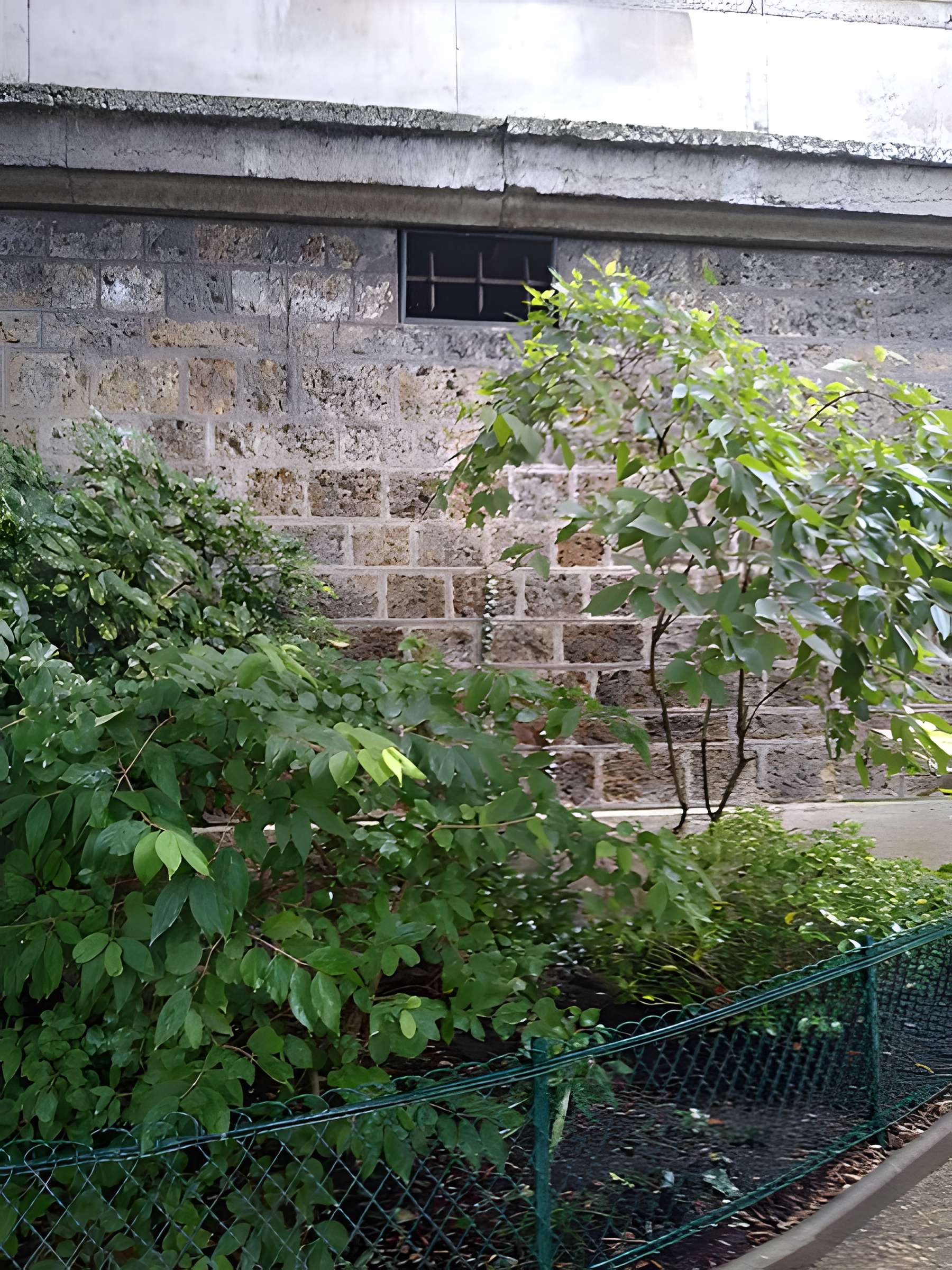 Ecole polytechnique  (Voir aussi : Enceinte de Philippe-Auguste)