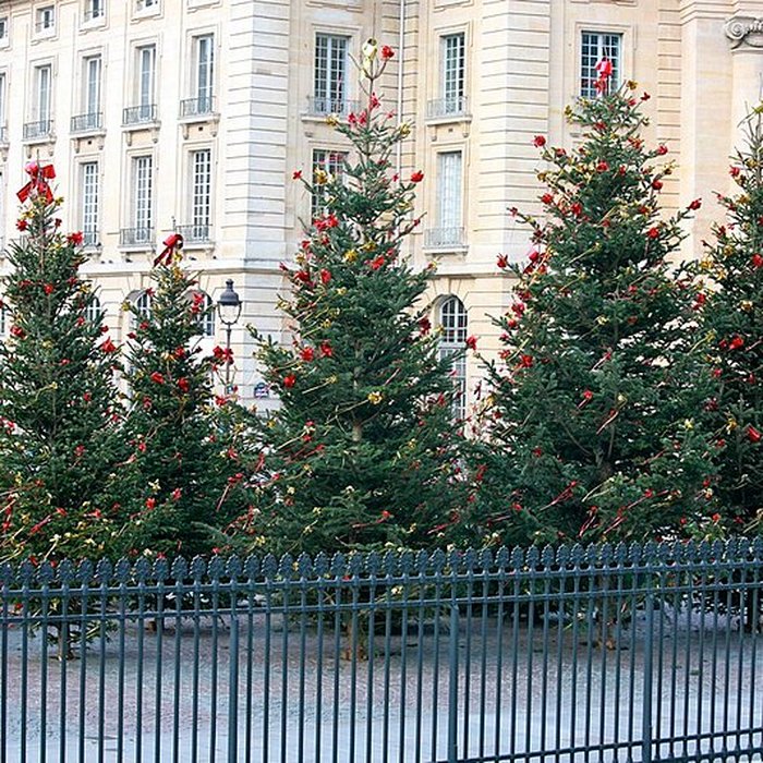 Photo de Faculté de droit de Paris
