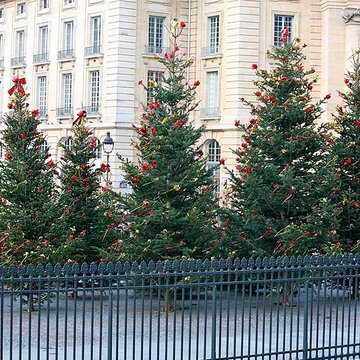 Faculté de droit de Paris