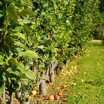 Institut national des jeunes sourds - Paris 5ème