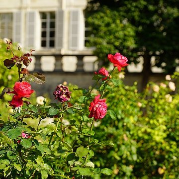 Institut national des jeunes sourds - Paris 5ème