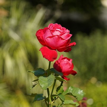 Institut national des jeunes sourds - Paris 5ème