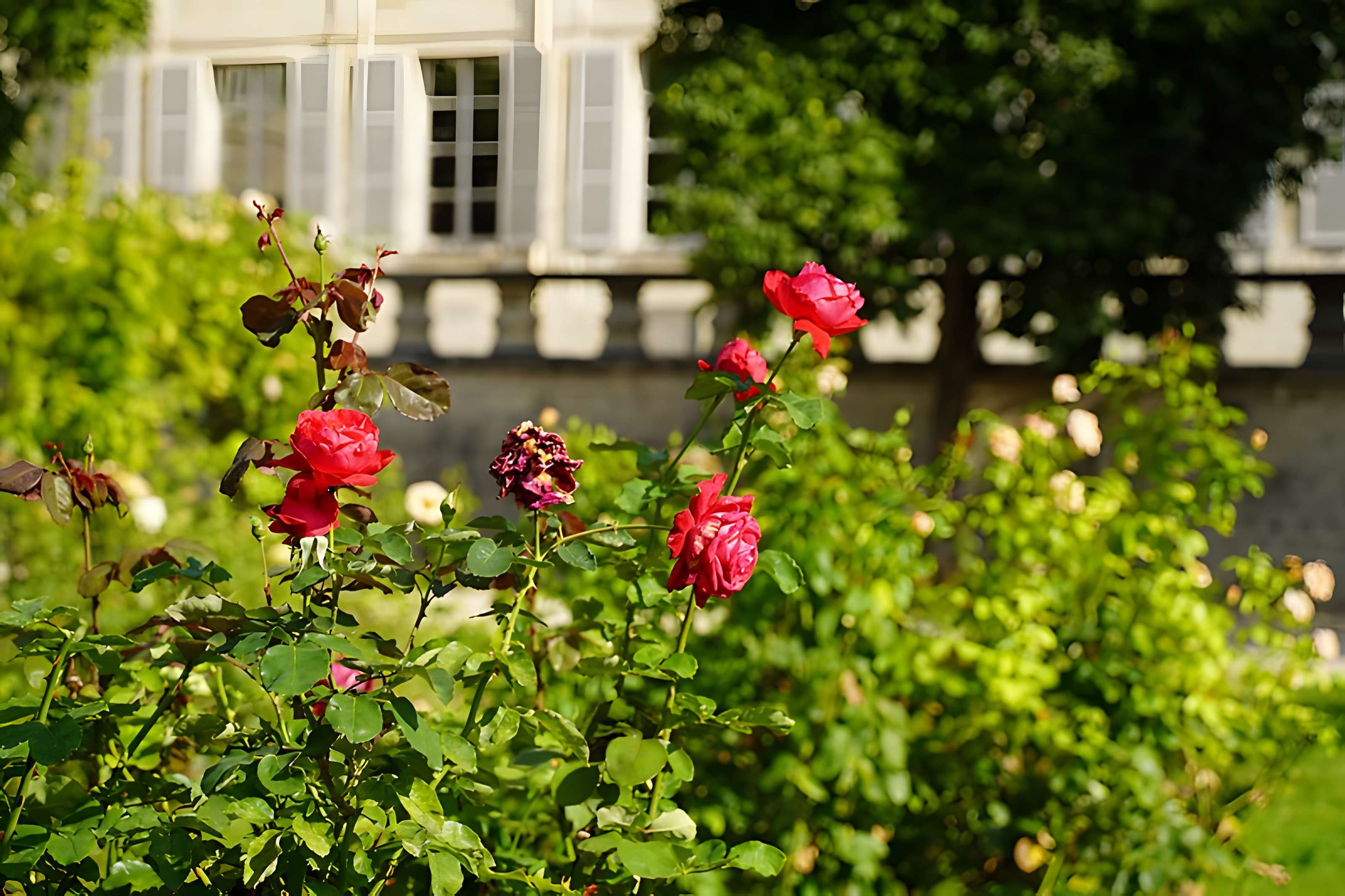 Institut national des jeunes sourds - Paris 5ème