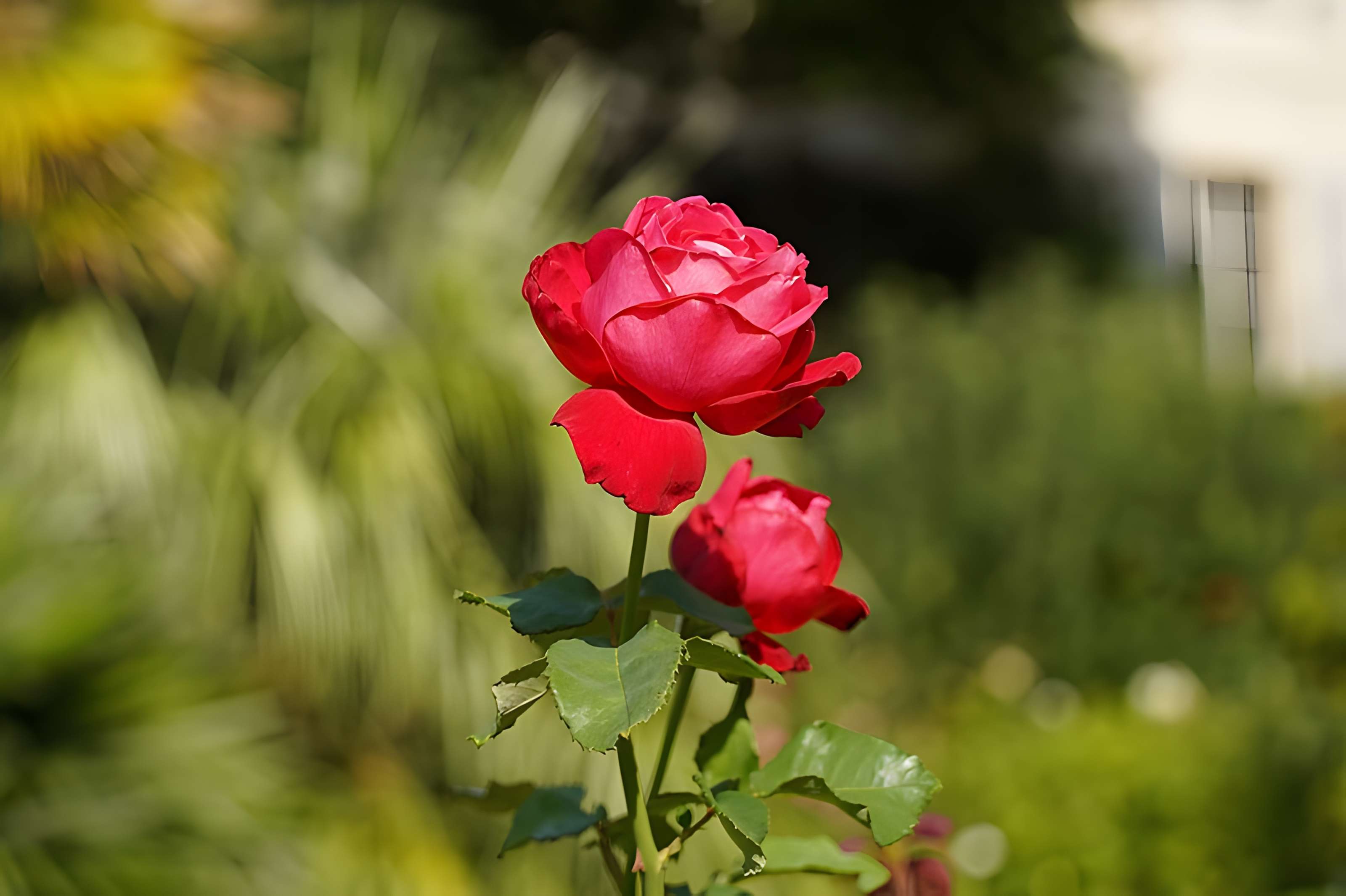 Institut national des jeunes sourds - Paris 5ème