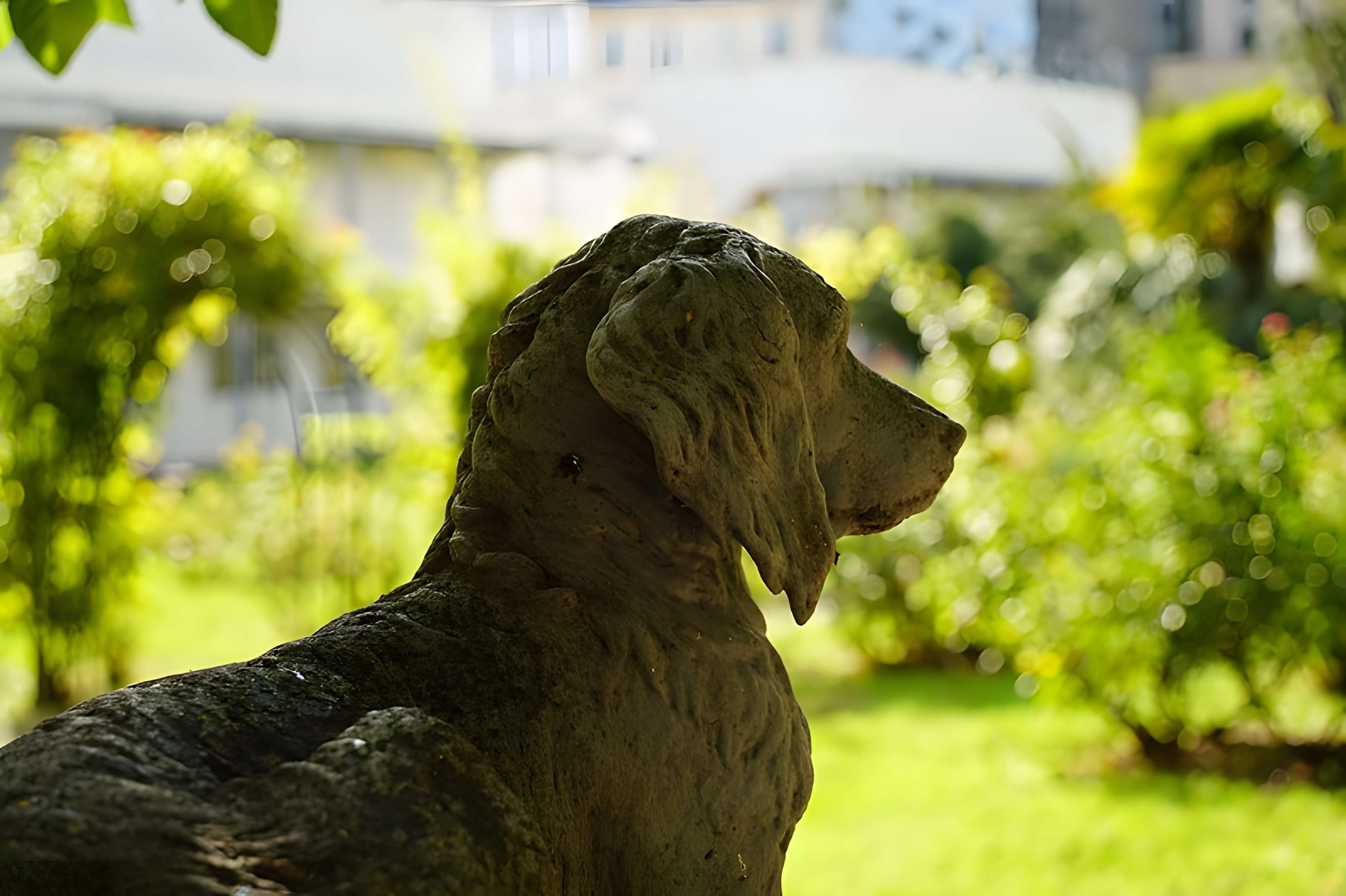 Institut national des jeunes sourds - Paris 5ème