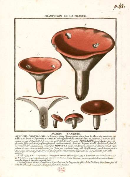 Académie nationale de chirurgie à Paris