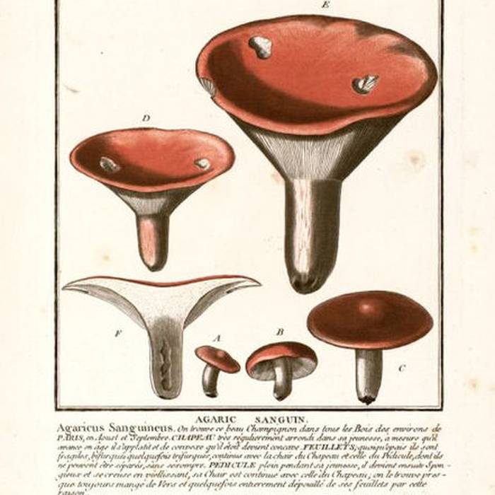 Photo de Académie nationale de chirurgie à Paris