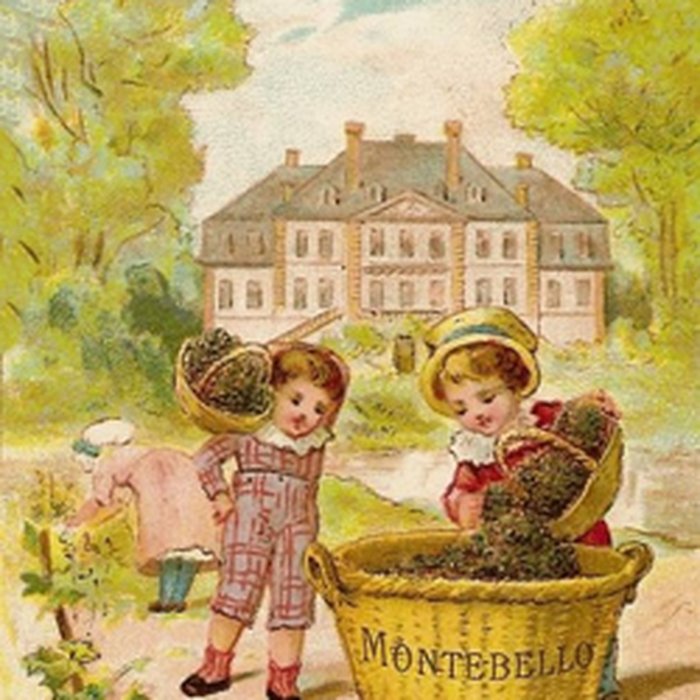 Photo de Château de Mareuil à Mareuil-sur-Ay