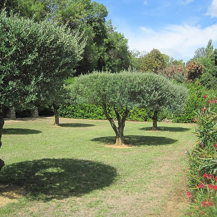 Photo de Château de Margon