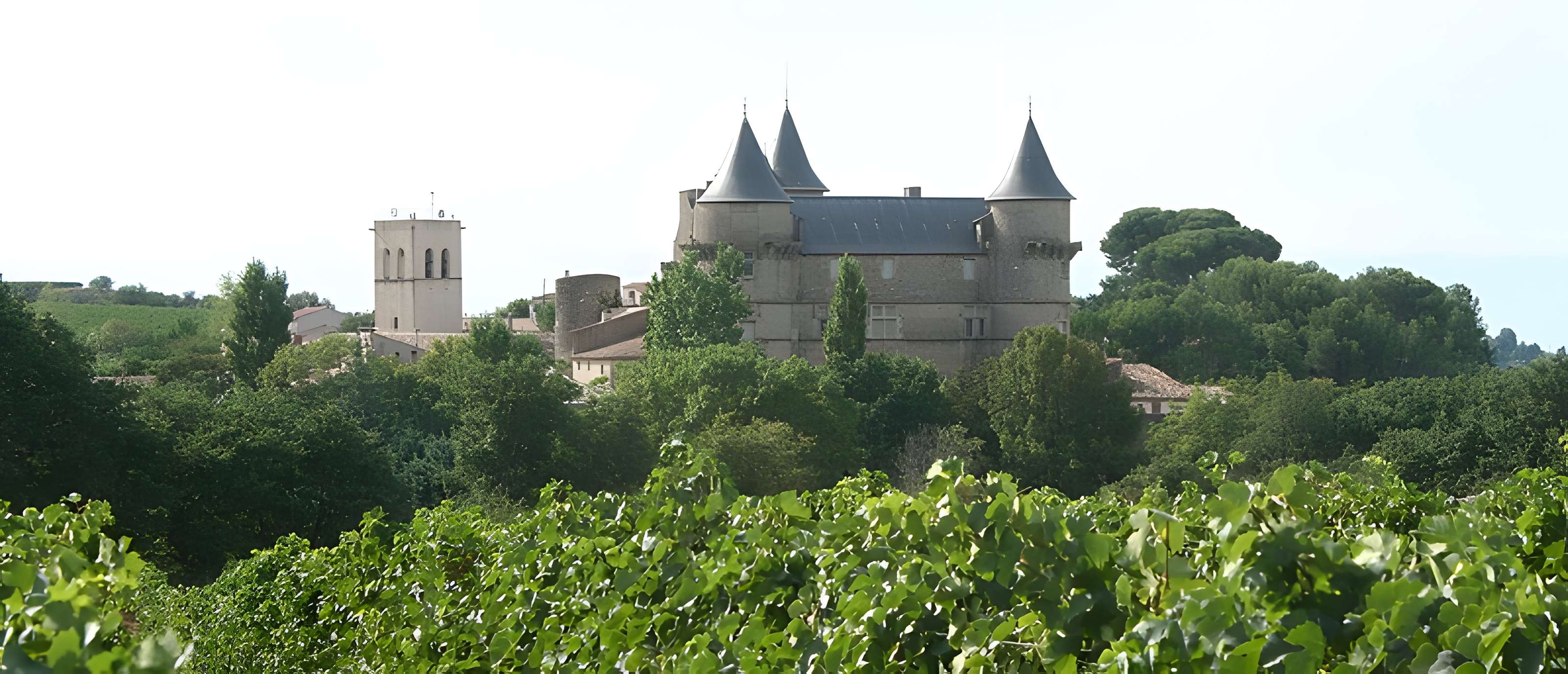 Château de Margon
